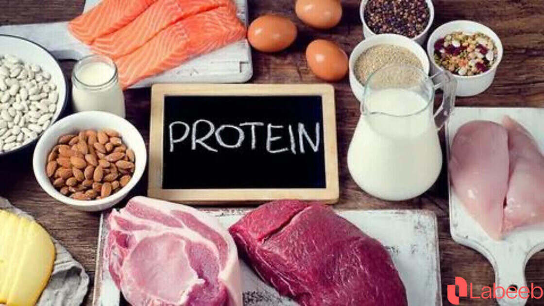 البروتينات وانواعها