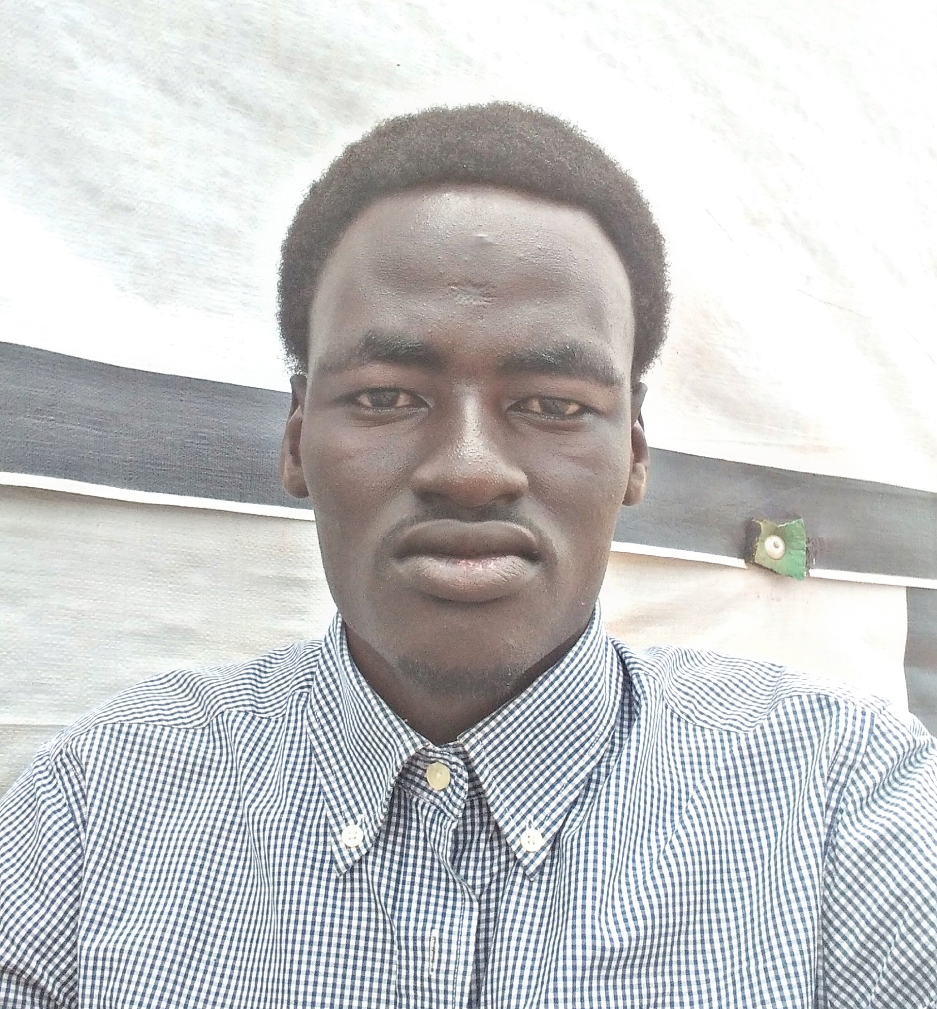 Mahmoud Ahmed Mahmoud  